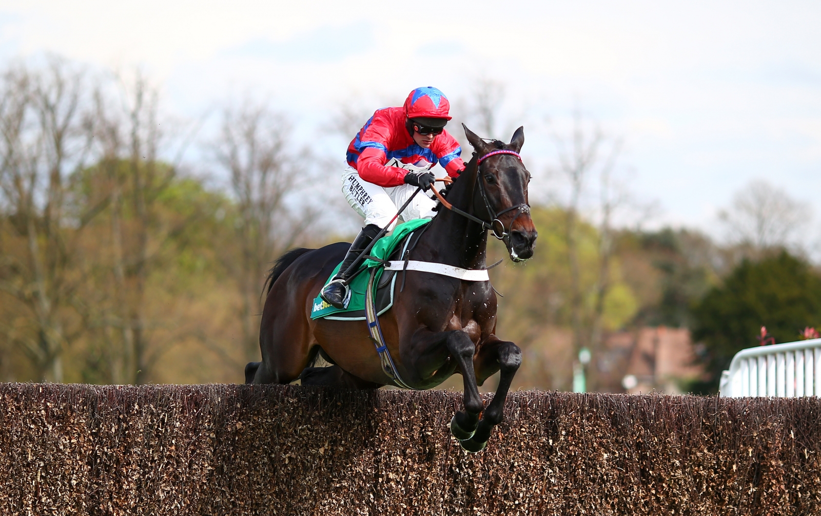 The Top 10 Queen Mother Champion Chase Winners at the Cheltenham Festival
