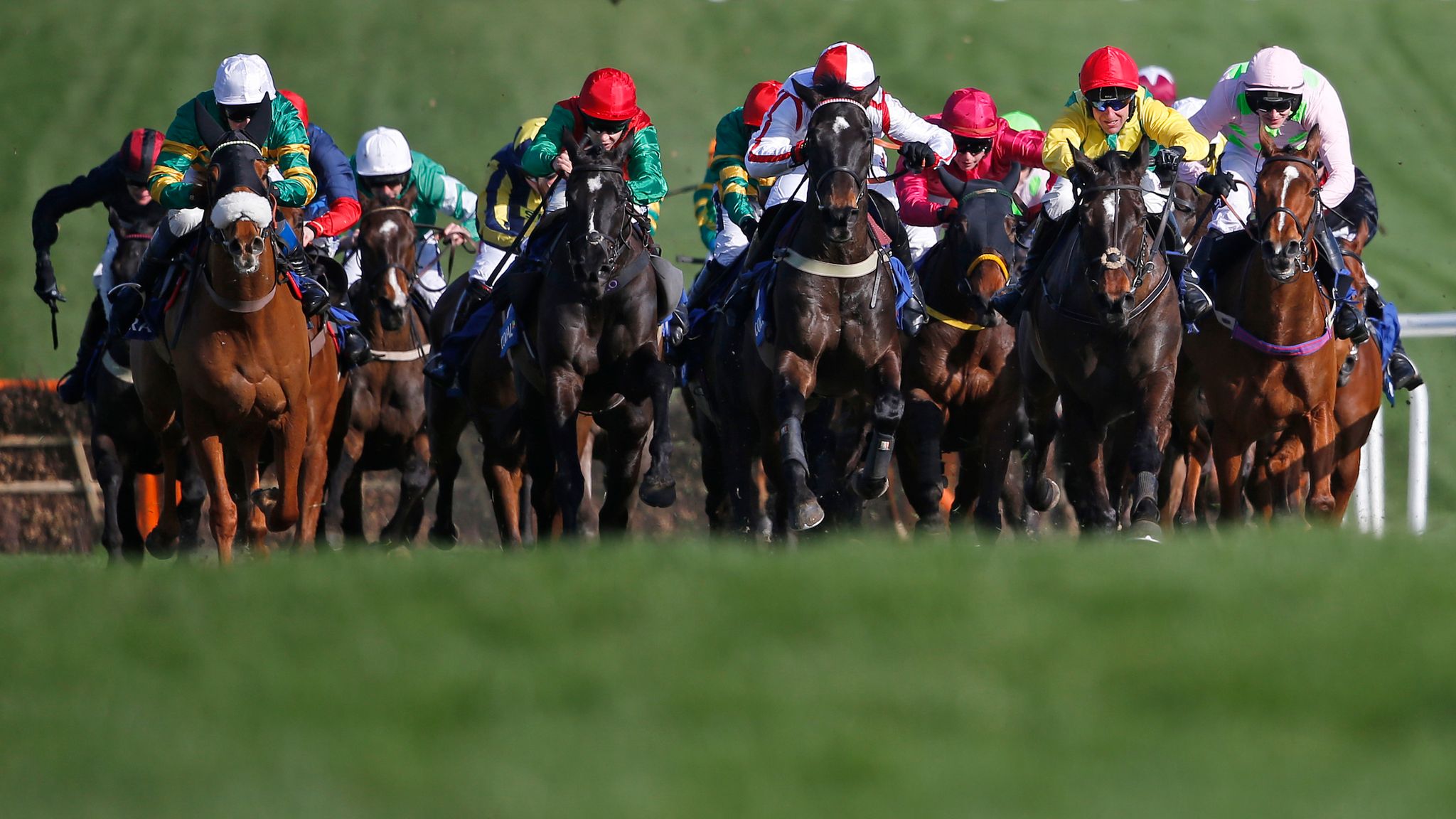 Unlocking the Coral Cup: Trends and Insights for Selecting the Winner